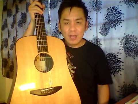 Baden D Style Sitka Spruce/Indian Rosewood Guitar Review In Singapore