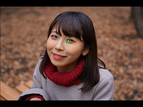 SIGMA 24-70mm F2.8 DG DN | Art Eye-Detection AF