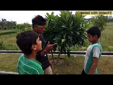 International bhikari