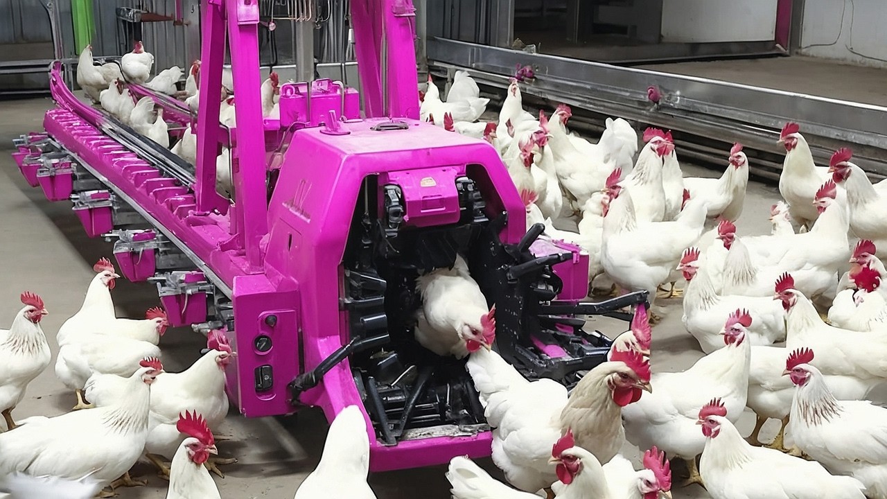 INVENÇÕES ENGENHOSAS QUE TODOS DEVERIAM VER