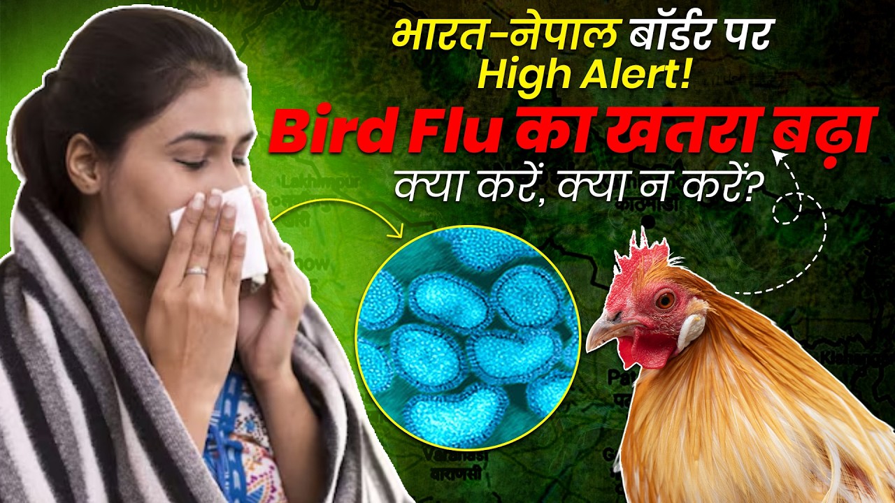 Bird Flu Alert! भारत-नेपाल बॉर्डर पर खतरा बढ़ा — जानिए क्या करें और क्या न करें OnlyMyHealth