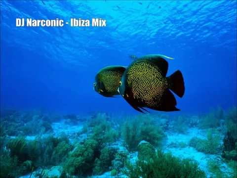 DJ Narconic - Ibiza Mix