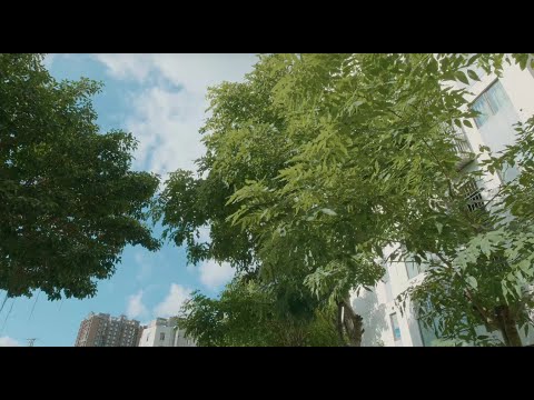 Test Footage | Meike πππ¦π¦ ππ.π S35 Prime Cine Lens