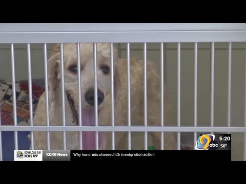 Iowa City Animal Care Center seeks 1500 square foot expansion to meet growing needs