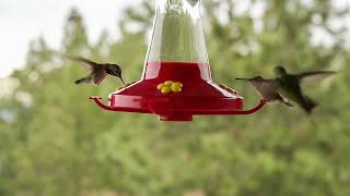 A parbola dos talentos.    (Para refletir)