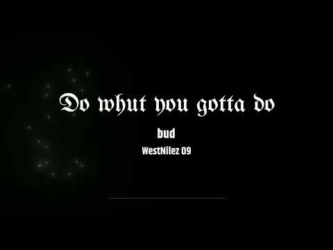 Do what you gotta do - budsbeatz (WestNilez 2009)