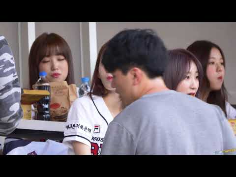 Dance The Night Away 🌸Miyawaki Sakura