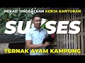 Success At A Young Age With Free Range Chicken Farming From Amateur To Expert ️