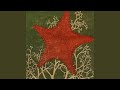 Sparkling Diatoms