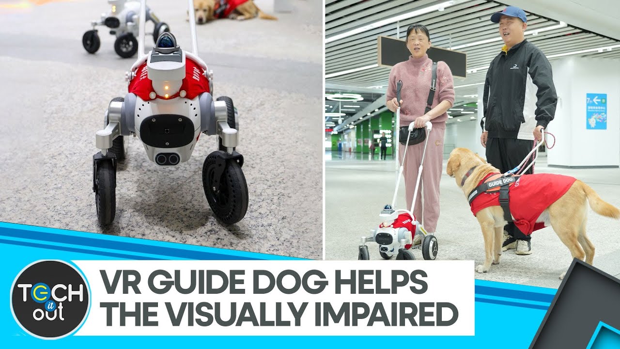 China Tests AI Robotic Guide Dog | Artificial Intelligence | Tech It Out