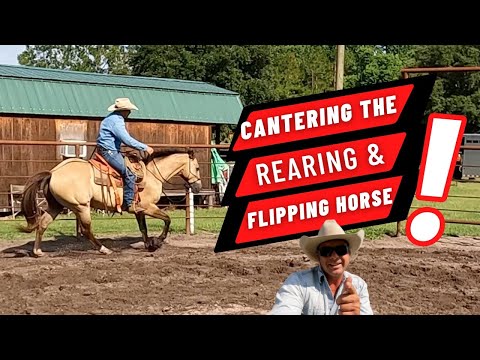 Pear Tree Ranchin 033: Problem Horse, Riding a horse that rears and flips over at a canter,