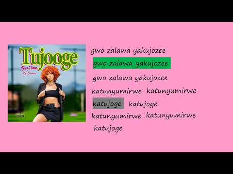 tujooge by spice diana[ lyrics videos]