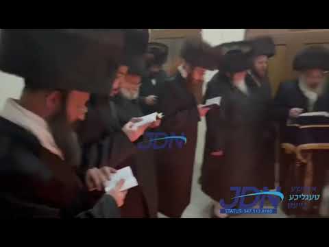 Deizh Rebbe in Deizh