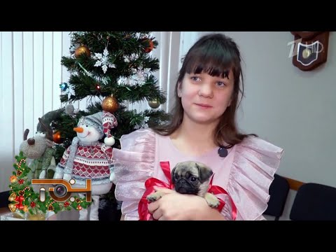 «Ёлка желаний»