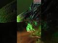 Crushing Brachydios Monster Hunter Capcom Figure Builder