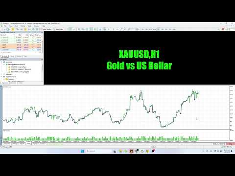Video LNT Gold X100