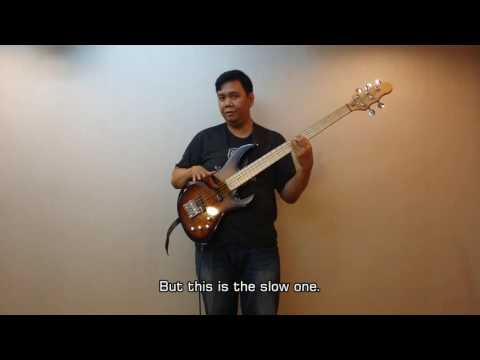 Bass Lessons Vibrato By Jimmy Frank