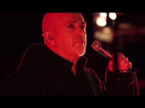 Peter Gabriel - Heroes (Live in Verona 2010)