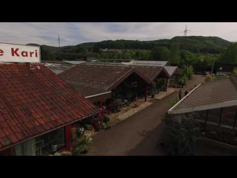 Gartencenter Zeiningen #4