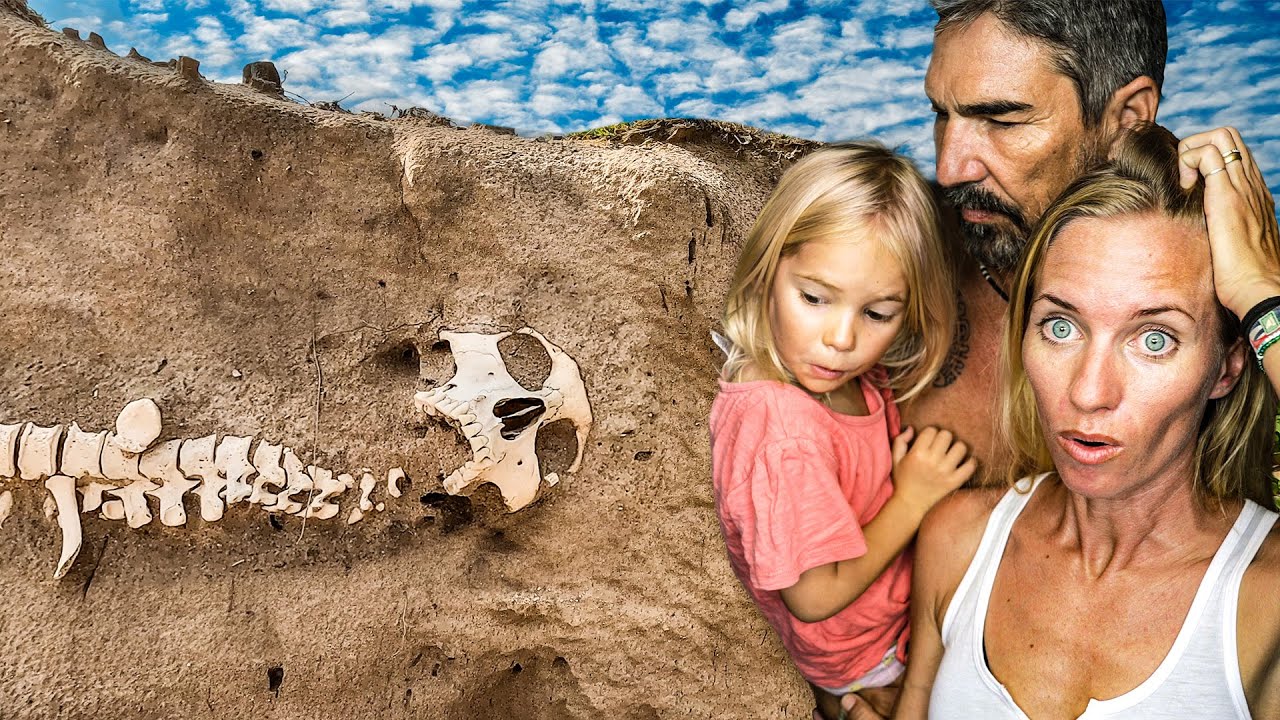 WTF Did We Just Find?! (Archaeologist Called!) 💀 Sailing Vessel Delos Ep. 448