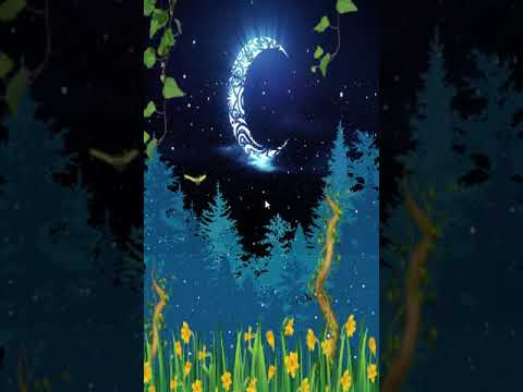 Moth Under Moonlight Video