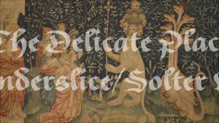 Spoon - The Delicate Place (Vanderslice + Solter version)