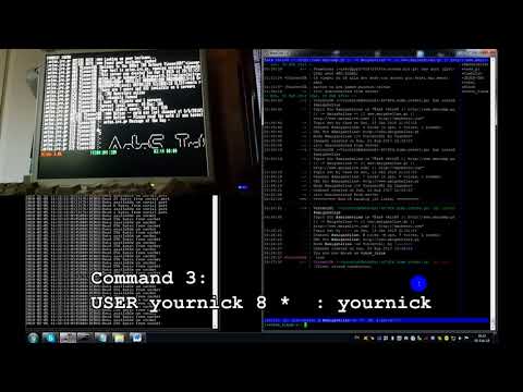 Amiga 500 - IRC through Terminal