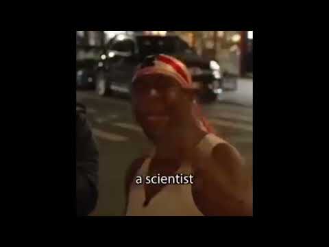 i like fried water you heard? a book for house cats (funny interview)