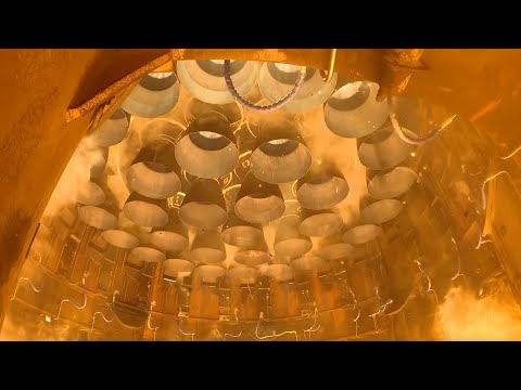 Whoa! See SpaceX Starship lift off from beneath in launch mount view