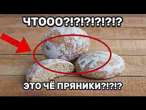 КОНТРАБАНДА ПРЯНИКОВ!!!🚨