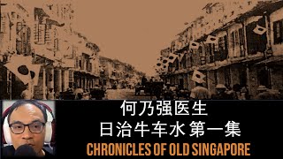 Ho Nai Kiong – War in Chinatown Part 1 | Chronicles of Old Singapore 何乃强 – 战阵时期的牛车水第一集 | 旧新加坡记事录