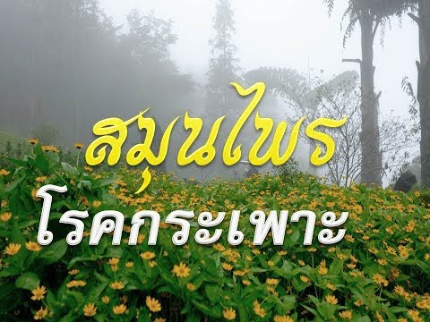 การผ่าตัดในอวัยวะเพศของเด็ก จะทำหน้าที่เป็นแรง Prostamol