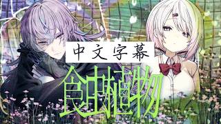【中文字幕】食虫植物 covered by 椎名唯華 × 星導ショウ【彩虹社中字】