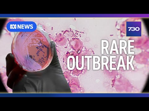 The rare and deadly disease killing dozens in Far North Queensland | 7.30