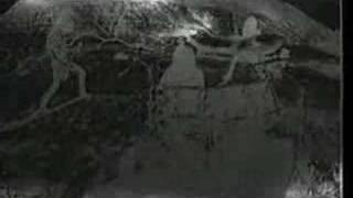 Mortification - Scrolls of the Megilloth