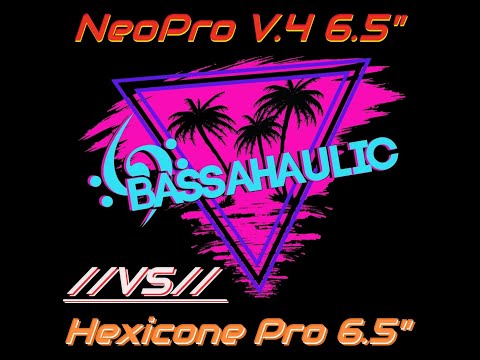 $49 Down4Sound Hexicone Pro 6.5" //VS// $169 Sundown NeoProV.4 6.5"