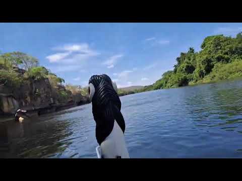 PASSEIO ECOLÓGICO (parte 1) RIO CORRENTE SANTA MARIA DA VITÓRIA BA 