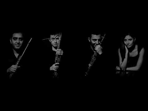 Jirayr Shahrimayan - Andante and Allegro (2015-16)