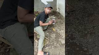 Download lagu aligatir engang   #shortsfeed #viral mp3