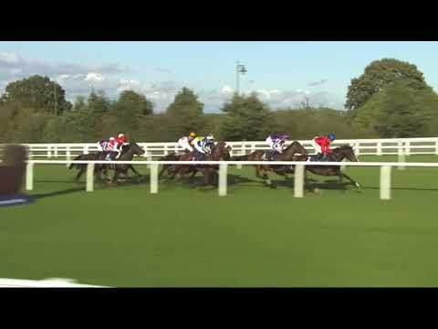 2019 Champion Stakes International Group 1 2000m