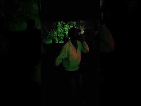 Danny Red and Oxman @ Bass Camp 2018