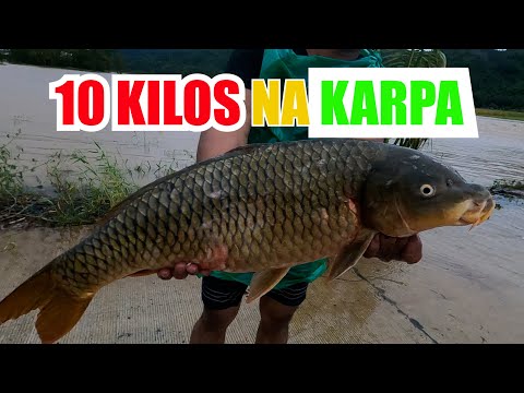 JACKPOT ANG LAKI NG KARPA. | PART 1 |