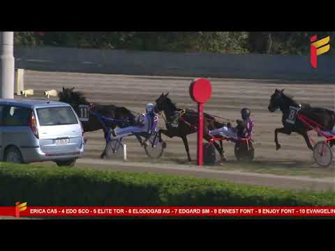 III Corsa del 30 Settembre 2023 - 3 Anni - Metri 2000