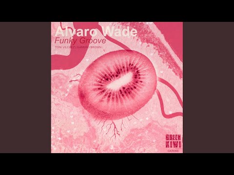 Funky Groove (Original Mix)