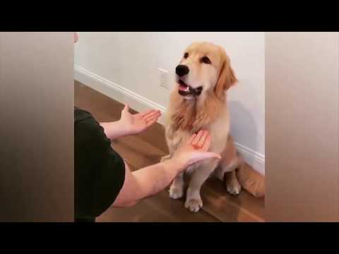 10 МИНУТ ОТБОРНЫХ ПРИКОЛОВ 👍 ЛУЧШИЕ ПРИКОЛЫ ЯНВАРЬ 2019👍РЖАКА ДО СЛЕЗ УГАР 👍👍👍ПРИКОЛ-ПРИКОЛЮХА