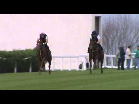 2012-08-30 Maria's Boy through the pens at Summerveld