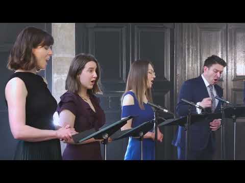 I stand in the library (fragment)