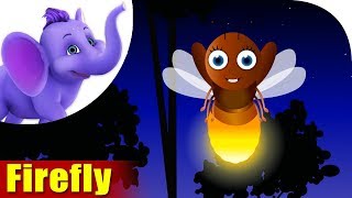 FireFly | A Bug Song | 4K | Appu Series
