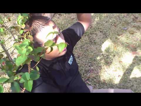 gran talento tico en wallmart