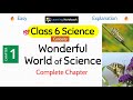 Class 6 Wonderful World Of Science Class 6 Science Curiosity Chapter 1
